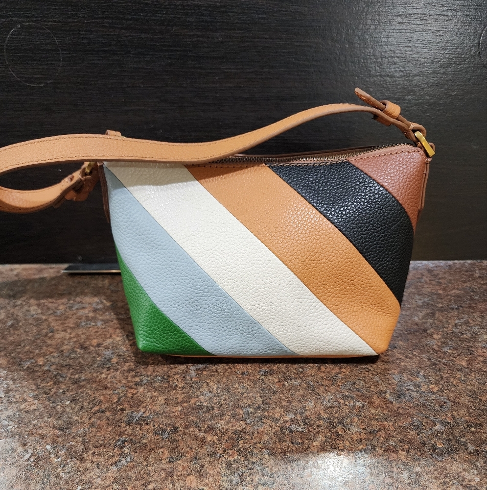 Fossil Brand Multicolor Striped Julianna Small Shoulder Bag